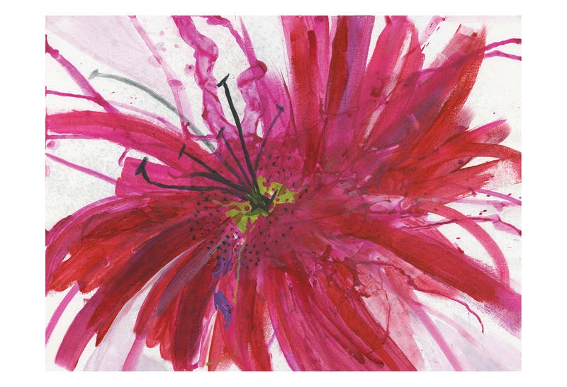 Smith Haynes, LOVELY RED (BLUMEN)