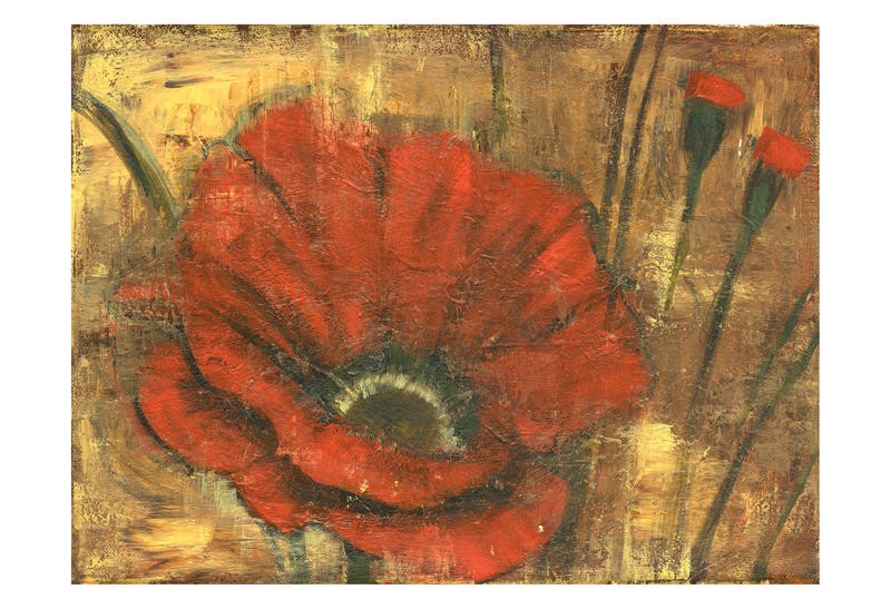 Linda Davey, RED POPPIE I (Blume, Mohnblume, zeitgenössische Malerei,  stilisiert, Esszimmer, Treppenhaus, Wohnzimmer, Wunschgröße, rot/beige)