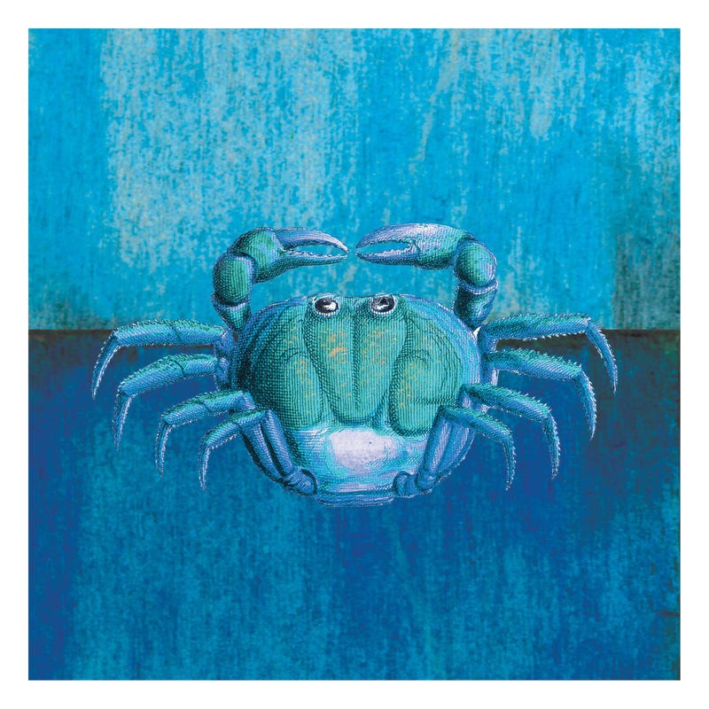 Tammy Repp, GREEN CRAB (MARITIM)