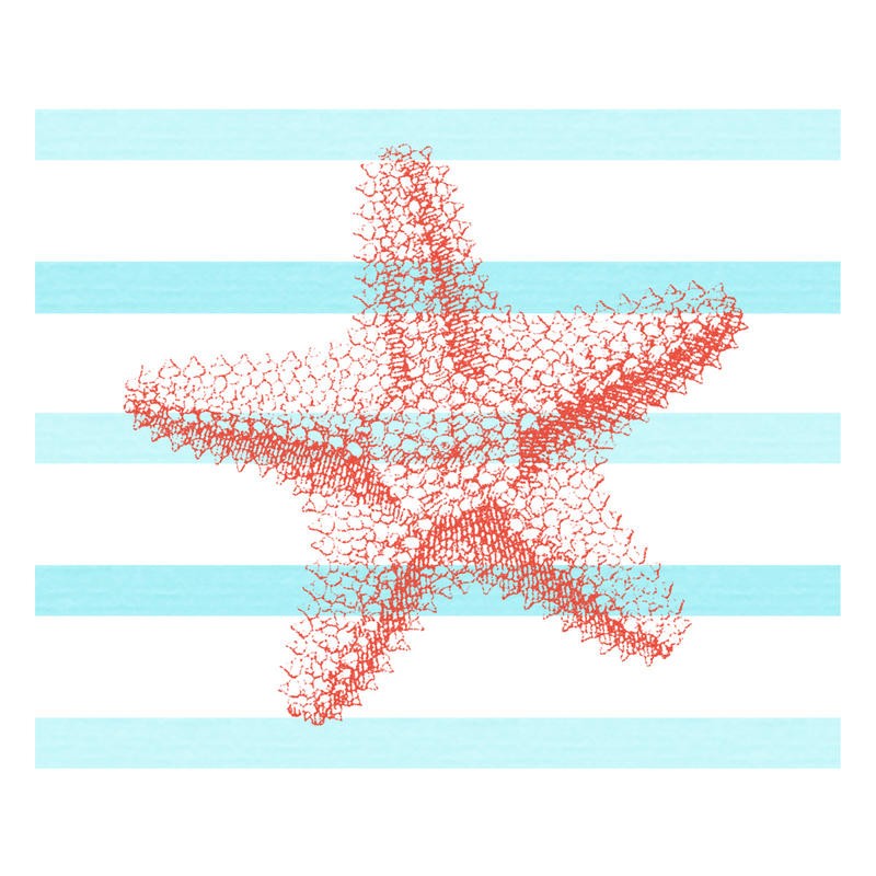 Sheldon Lewis, RED AND BLUE I (Seestern, Streifenmuster, maritim, Meerestiere, Grafik, Badezimmmer, Treppenhaus, Wunschgröße, rosa, blau/weiß)