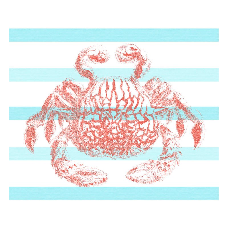 Sheldon Lewis, RED AND BLUE II (Krabbe, Krebs, Streifenmuster, maritim, Meerestiere, Grafik, Badezimmmer, Treppenhaus, Wunschgröße, rosa, blau/weiß)