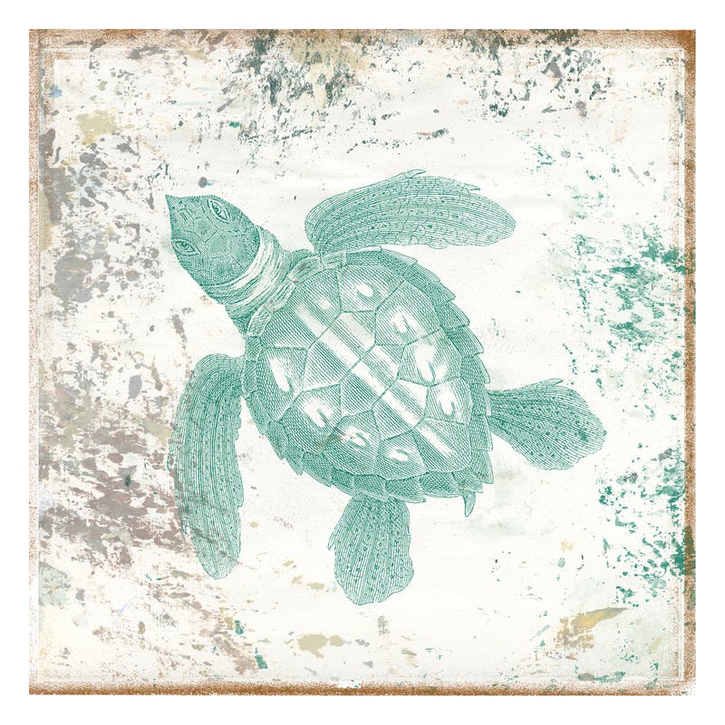 Sheldon Lewis, GREEN TURTLE II (Schildkröte, Meeresschildkröte, maritim, Meerestiere, Grafik, Badezimmmer, Treppenhaus, Wunschgröße, grün)