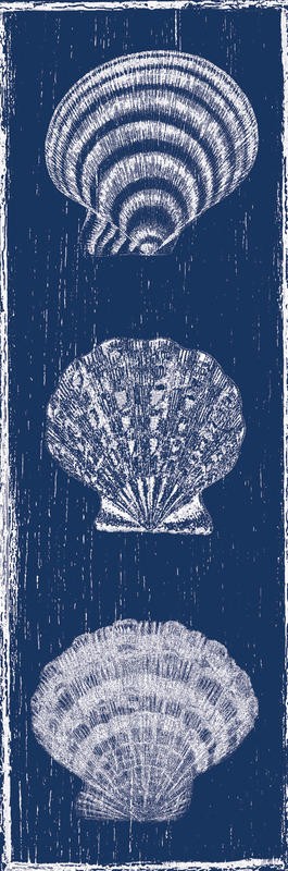 Sheldon Lewis, LOVE THE OCEAN I (Muscheln, Muschelschalen, Jeans, Struktur,  maritim, Meerestiere, Grafik, Badezimmmer, Treppenhaus, Wunschgröße, grau/blau)