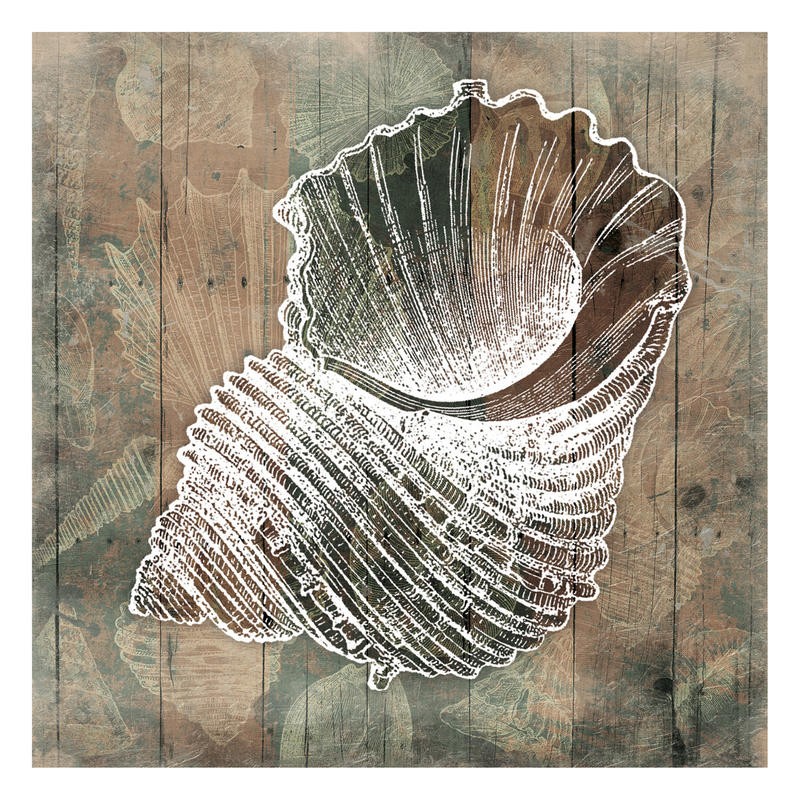 Jace Grey, VINTAGE WOOD COASTAL II (MARITIM)