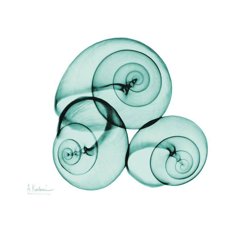 Albert Koetsier, NAUTILUS TRIO III (X-RAY)