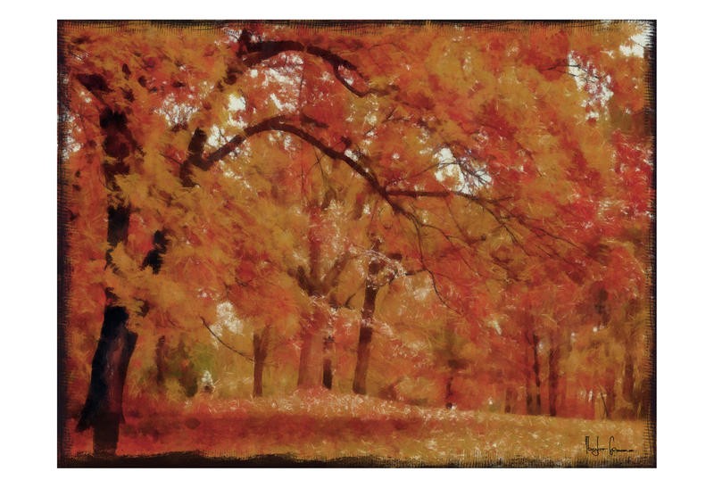 Taylor Greene, HARVEST LANDSCAPE I (Park, Landschaft, Natur, Bäume, Herbst, Laub, Jahreszeit, Wunschgröße, Fotokunst, Treppenhaus)