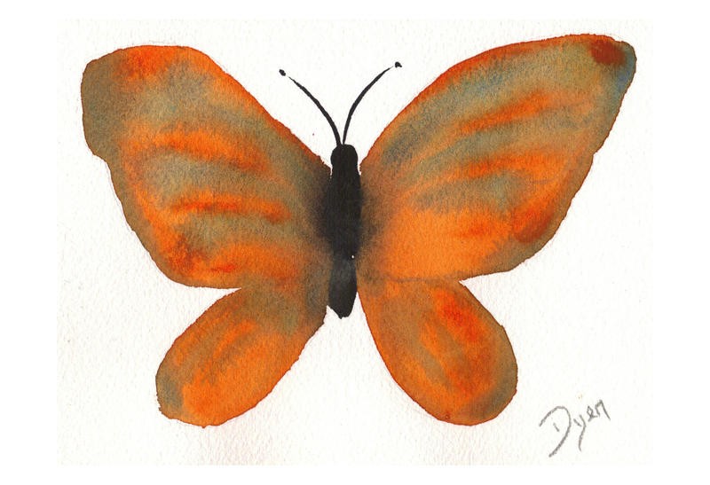 Beverly Dyer, BUTTERFLY BLISS VI (Schmetterling, Aquarell, Schlafzimmer, Wohnzimmer, Treppenhaus, Malerei, Wunschgröße, orange)