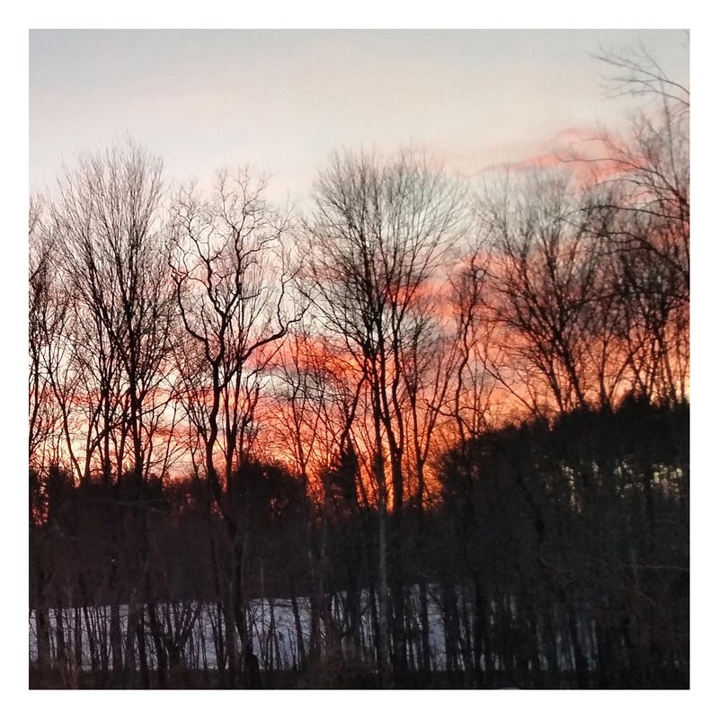 Sheldon Lewis, AFTERGLOW II (Natur, Bäume, Sonnenuntergang, Winter, Landschaft, Wunschgröße, Fotokunst, wunschgröße, wohnzimmer, Treppenhaus, bunt)