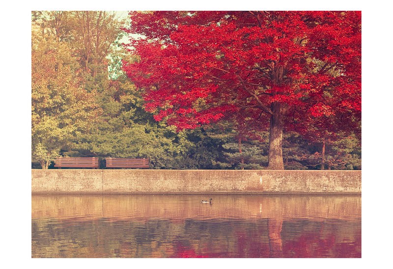 Tracey Telik, OCTOBER II (Park, Garten, Landschaft, Teich, Herbst, Bäume, rote Blätter,  Jahreszeit, Wunschgröße,   Wohnzimmer, Fotokunst,)