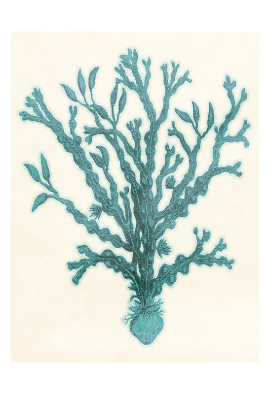 Jace Grey, BLUE SOLID BEACH I (MARITIM)