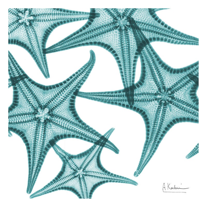 Albert Koetsier, STARFISH TURQUOISE II (X-RAY)