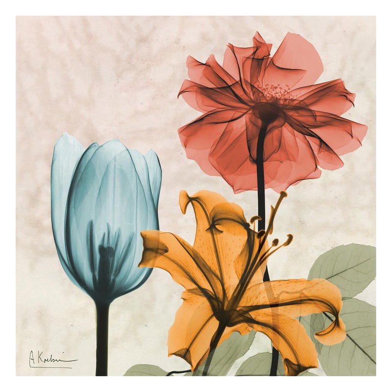 Albert Koetsier, COLOR MIX II (X-RAY)