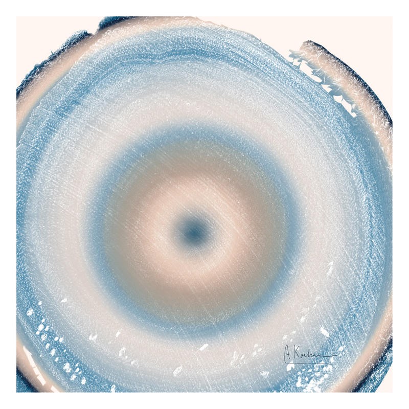 Albert Koetsier, RINGS SOFT II (X-RAY)