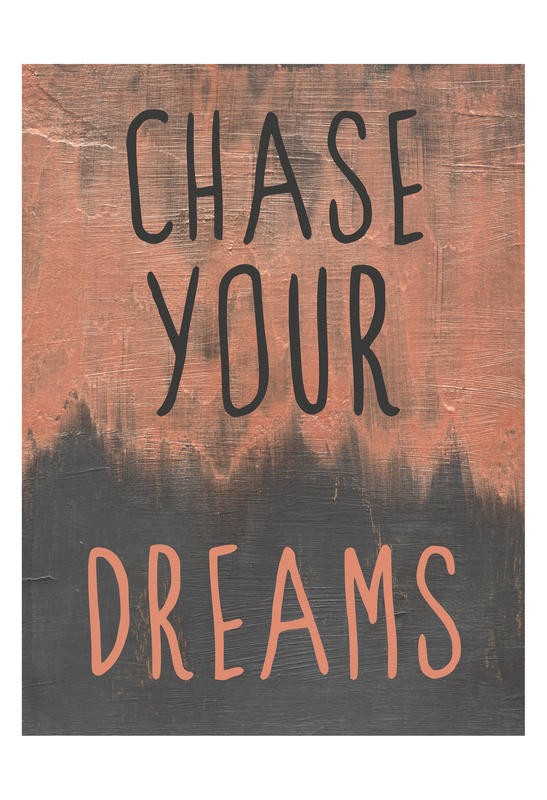 Laura Lobdell, CHASE YOUR DREAMS (Spruch, Motivation, Inspiration, Träume, Grafik, Kalligrafie, Wunschgröße, Treppenhaus, braun/schwarz)