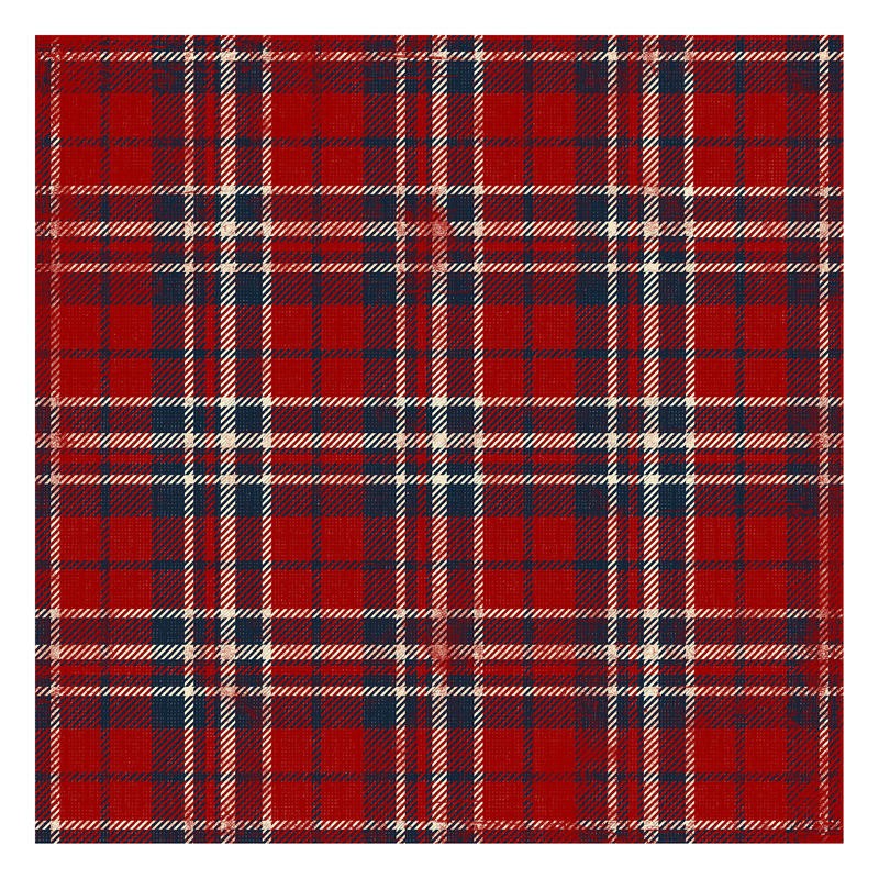 Jace Grey, RED BLACK BLUE PLAID II (MUSTER)