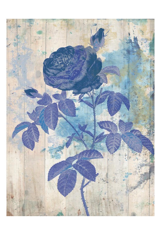 Sheldon Lewis, MARSALA ROSE IN MY GARDEN II (Blumen, Blüten, Rosen, floral, Holzpanel, Retro/Vinatage, Grafik, Wohnzimmer, Treppenhaus, Wunschgröße, blau/grau)