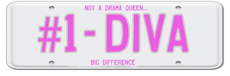 Sheldon Lewis, #1 DIVA (Nummernschild, Autokennzeichen, Mädchen, JUNG + WILD, witzig, cool, Wunschgröße, Grafik, Jugendzimmer, weiß/pink)