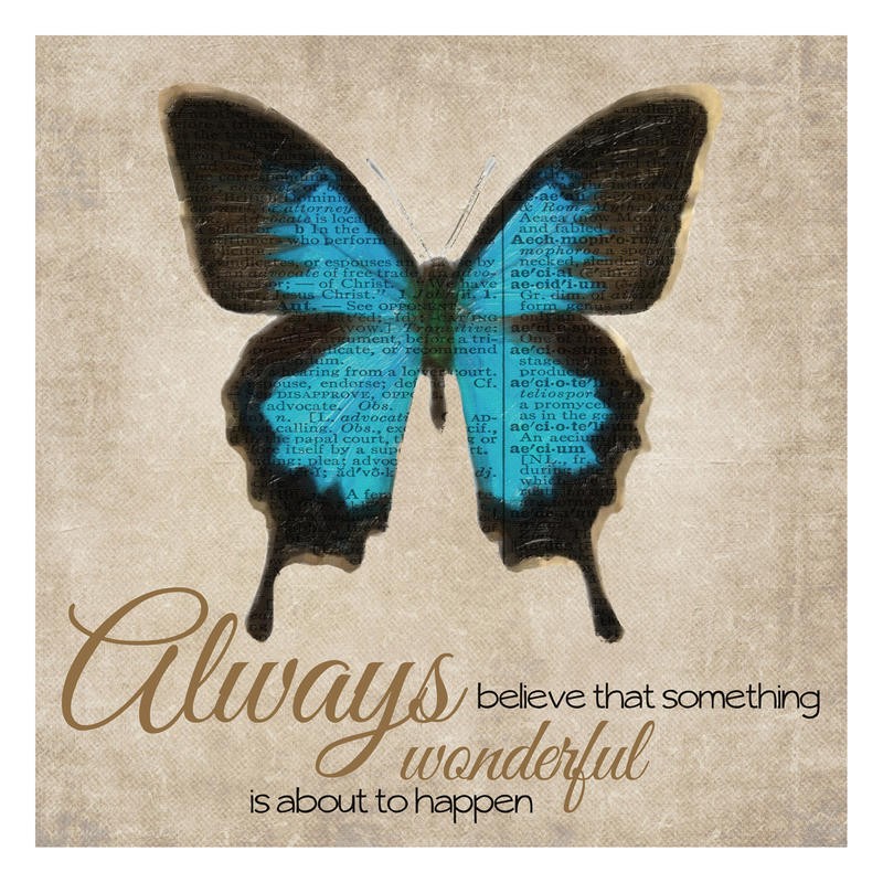 Taylor Greene, ALWAYS WONDERFUL I (BIENEN + SCHMETTERLINGE)