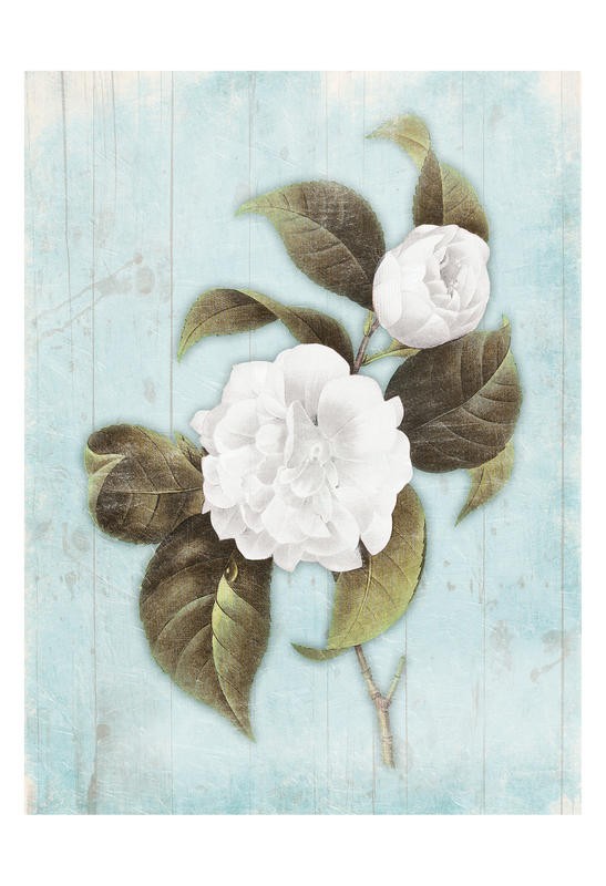 Jace Grey, LIGHT BLUE FLORAL I (BLUMEN)
