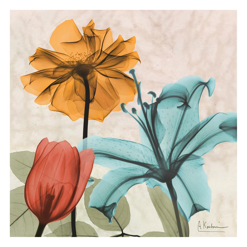 Albert Koetsier, COLOR MIX I (X-RAY)