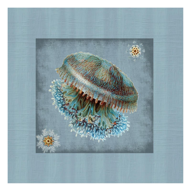 Sheldon Lewis, JELLYFISH WITH BORDER II (Qualle, Tentakeln, maritim, Meerestiere, Grafik, Badezimmmer, Treppenhaus, Wunschgröße, bunt)
