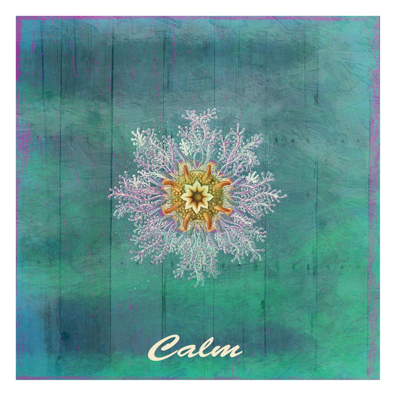 Sheldon Lewis, CALM + RELAX II (Qualle,Untersicht, Inspiration, Ruhe, maritim, Meerestiere, Grafik, Badezimmmer, Treppenhaus, Wunschgröße, bunt)
