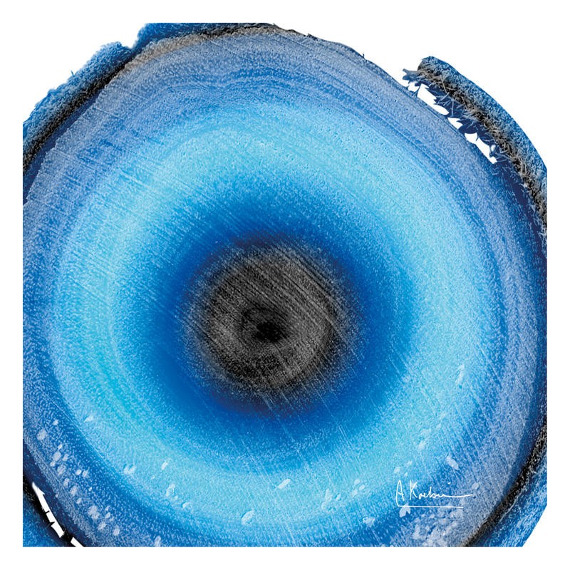 Albert Koetsier, RINGS AQUA II (X-RAY)