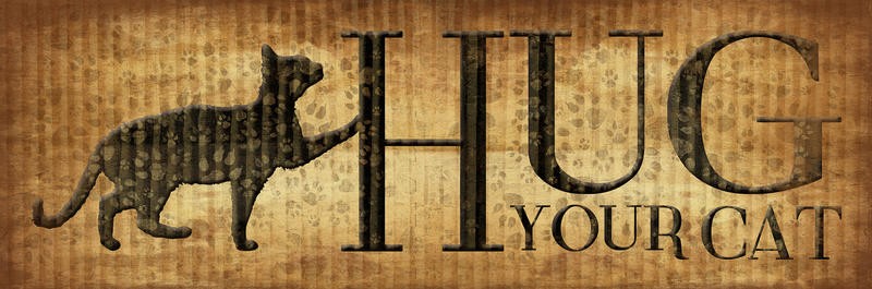 Jace Grey, HUG YOUR CAT (INSPIRATION)