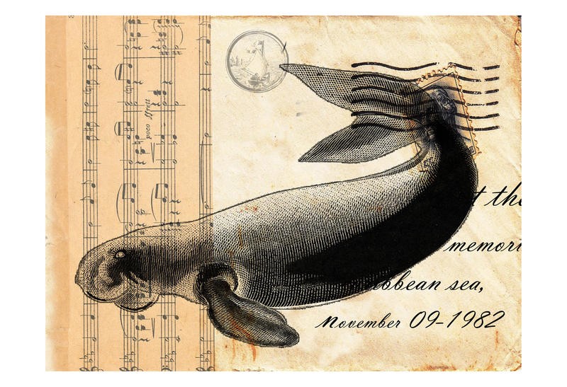 Sheldon Lewis, TO PACIFIC II (Walross, Meerestiere, Postkarte, Nostalgie, Noten, Grafik, Wohnzimmmer, Treppenhaus, Wunschgröße, bunt)