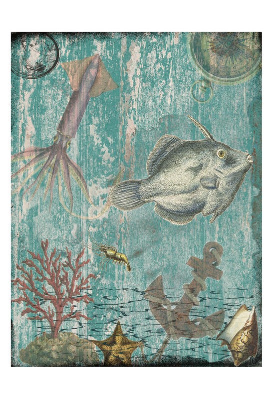 Sheldon Lewis, AQUATIC I (Fisch, Calamares, Koralle, Meeresgrund, Anker, maritim, Meerestiere, Grafik, Badezimmmer, Treppenhaus, Wunschgröße, shabby, bunt)