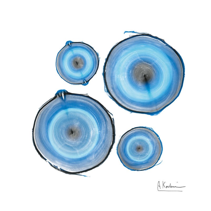 Albert Koetsier, RINGS BLUE II (X-RAY)