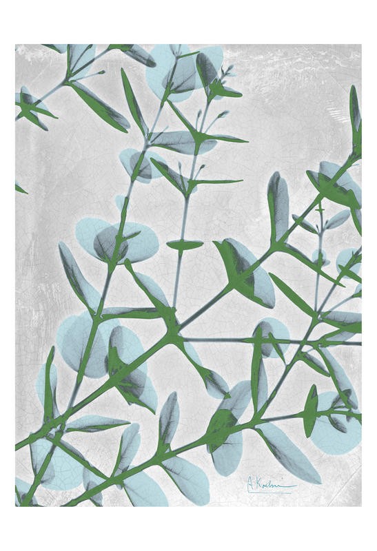 Albert Koetsier, BRANCHES IN BLUE II (X-RAY)