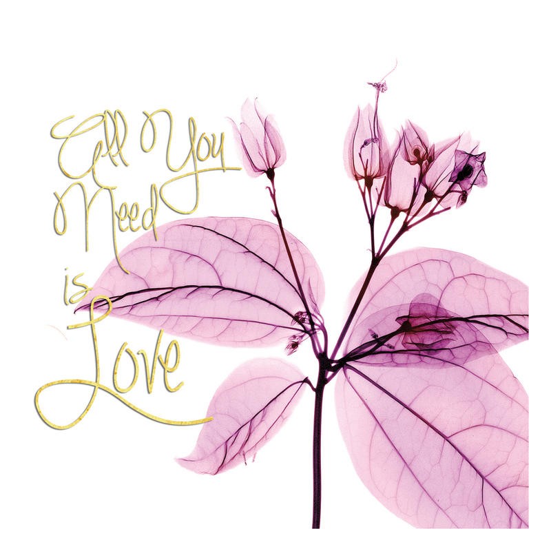 Albert Koetsier, IN LOVE I (X-RAY)
