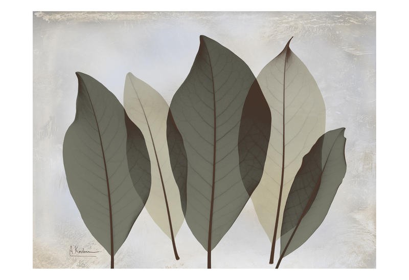 Leinwandbild, Albert Koetsier, GRAY LEAF III, Seiten gespiegelt (X-RAY)