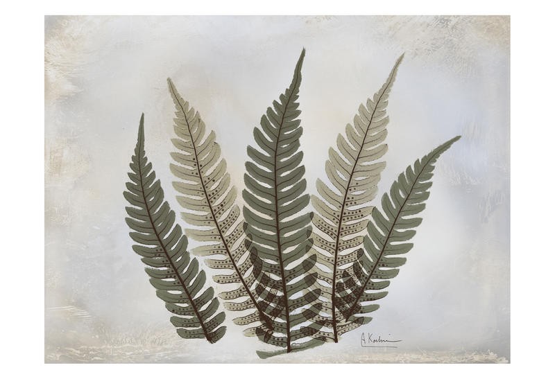 Albert Koetsier, GRAY LEAF IV (X-RAY)