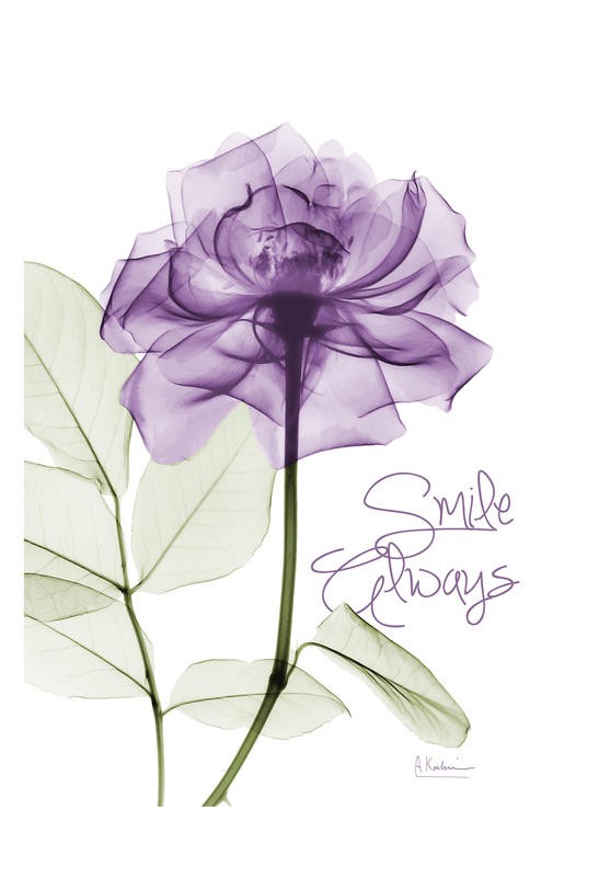 Albert Koetsier, SMILE II (X-RAY)