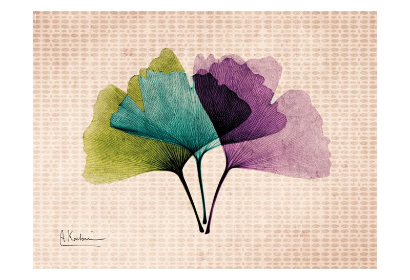 Albert Koetsier, PLAY OF COLORS IV (X-RAY)