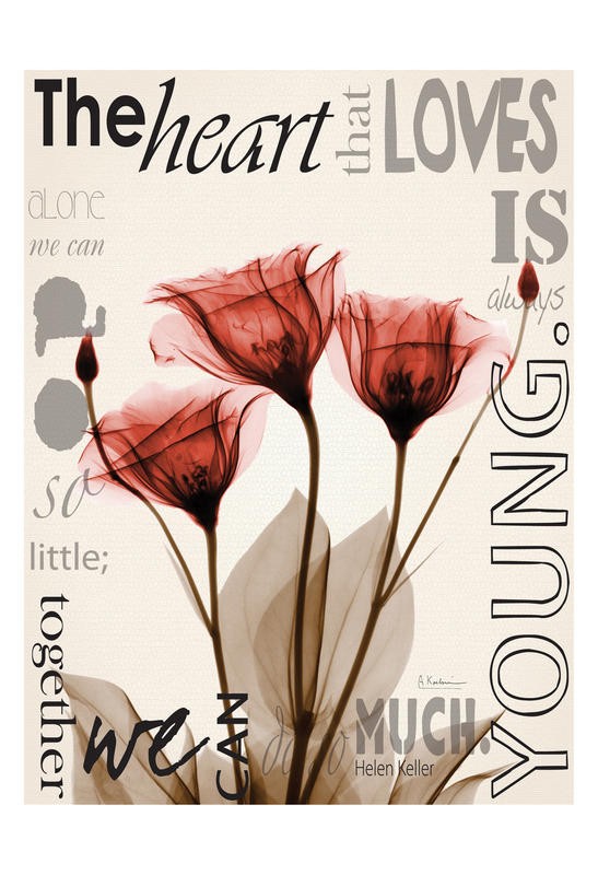 Albert Koetsier, LOVE LOVE LOVE II (X-RAY)