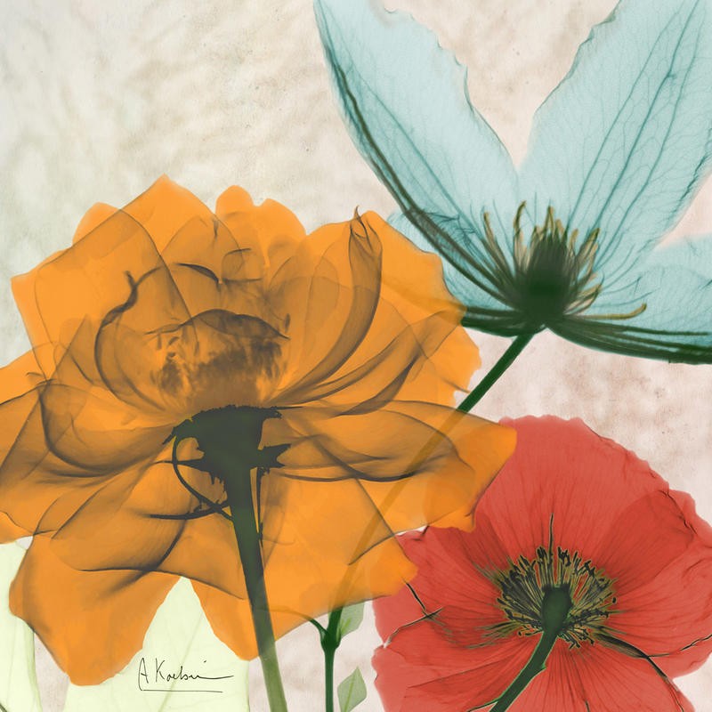 Albert Koetsier, COLOR MIX IV (X-RAY)