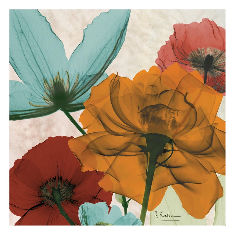 Albert Koetsier, COLOR MIX VI (X-RAY)