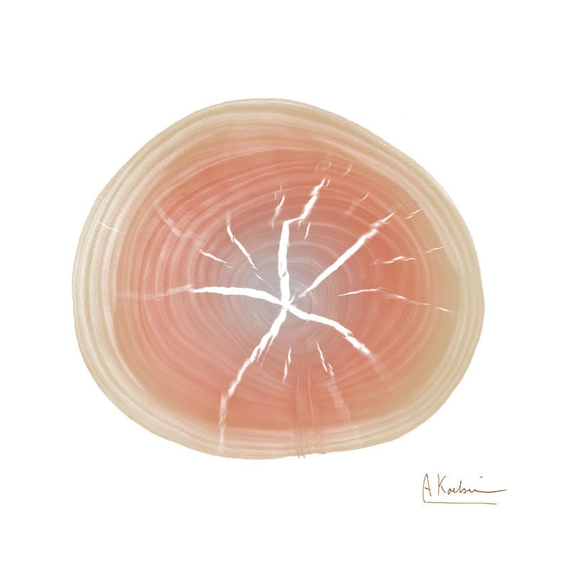 Albert Koetsier, RINGS APRICOT II (X-RAY)