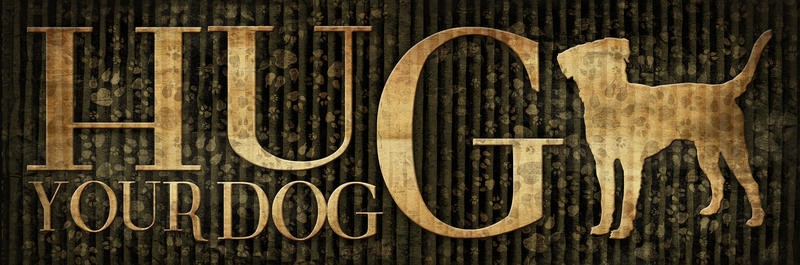 Jace Grey, HUG YOUR DOG (INSPIRATION)