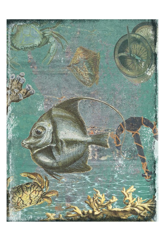 Sheldon Lewis, AQUATIC II (Fisch, Krebs, Krabbe, Koralle, Meeresgrund, Anker, maritim, Meerestiere, Grafik, Badezimmmer, Treppenhaus, Wunschgröße, shabby, bunt)