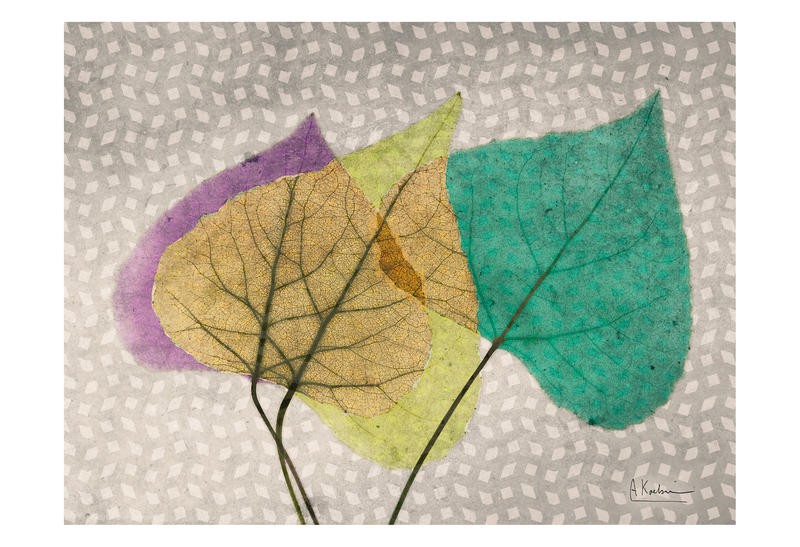 Albert Koetsier, PLAY OF COLORS III (X-RAY)