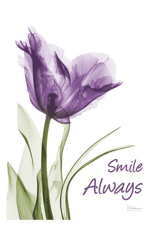 Albert Koetsier, SMILE III (X-RAY)