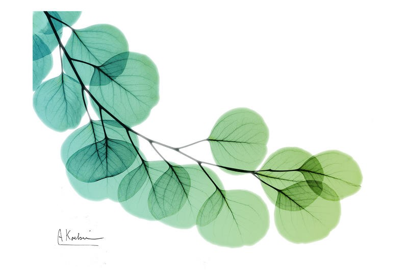 Albert Koetsier, BLUE AND GREEN II (X-RAY)