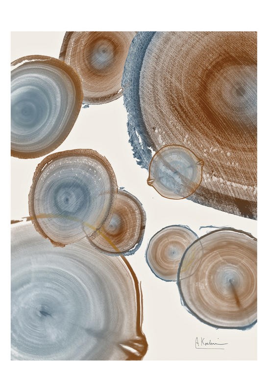 Albert Koetsier, RINGS BROWN I (X-RAY)