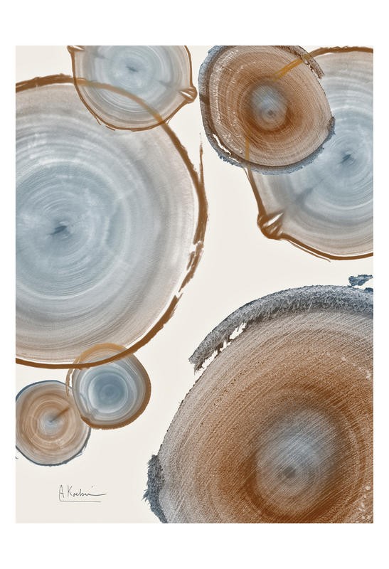 Albert Koetsier, RINGS BROWN II (X-RAY)