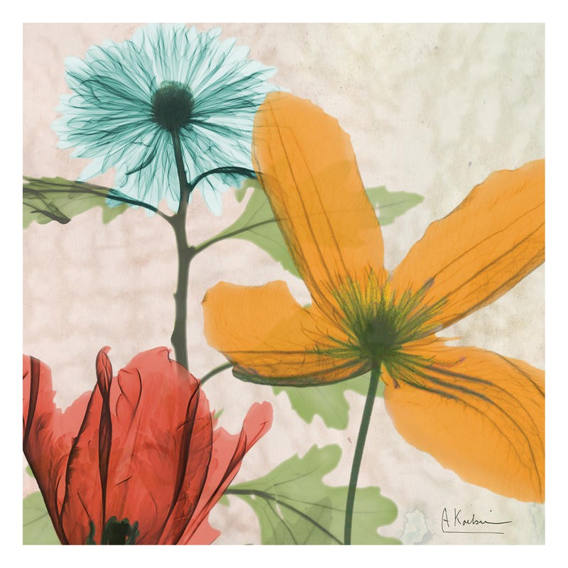 Albert Koetsier, COLOR MIX V (X-RAY)