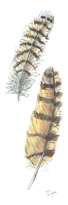 Beverly Dyer, FEATHER DUO PANEL I (Federn, Vogelfedern,  Schlafzimmer, Wohnzimmer, Treppenhaus, Malerei, Wunschgröße, grau/braun)